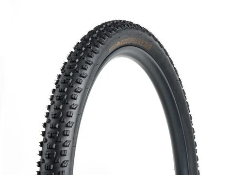 BONTRAGER Copertone MTB Montrose Pro XR TLR